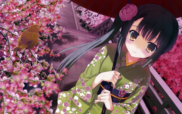 parasol cherry blossom bird black hair long hair kimono Anime Original Anime Bird HD Desktop Wallpaper | Background Image
