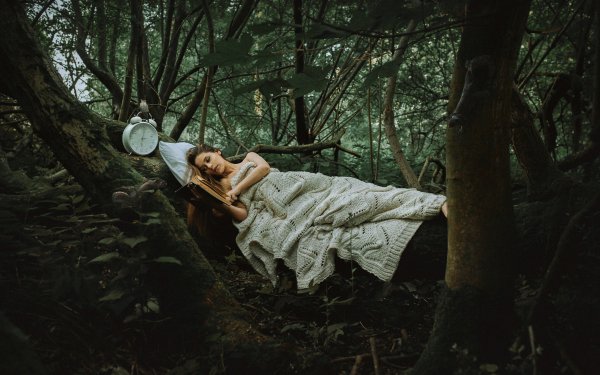 Femmes Humeur Hammock Sleeping Forêt Arbre Fond d'écran HD | Image