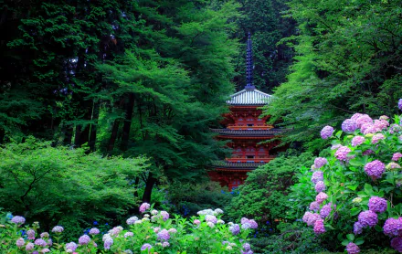 A beautiful HD desktop wallpaper featuring a serene Japanese garden with vibrant purple hydrangeas and a traditional pagoda surrounded by lush greenery.