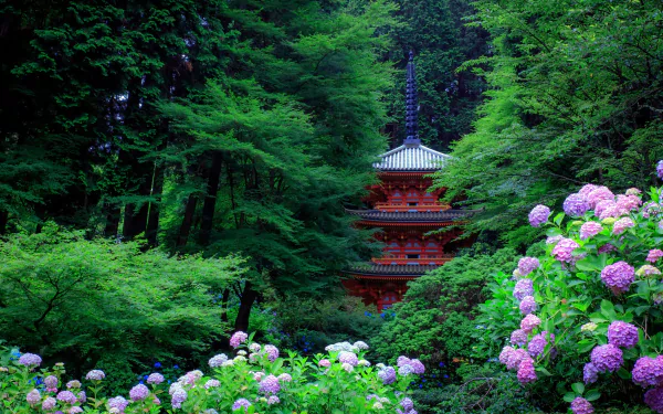 A beautiful HD desktop wallpaper featuring a serene Japanese garden with vibrant purple hydrangeas and a traditional pagoda surrounded by lush greenery.