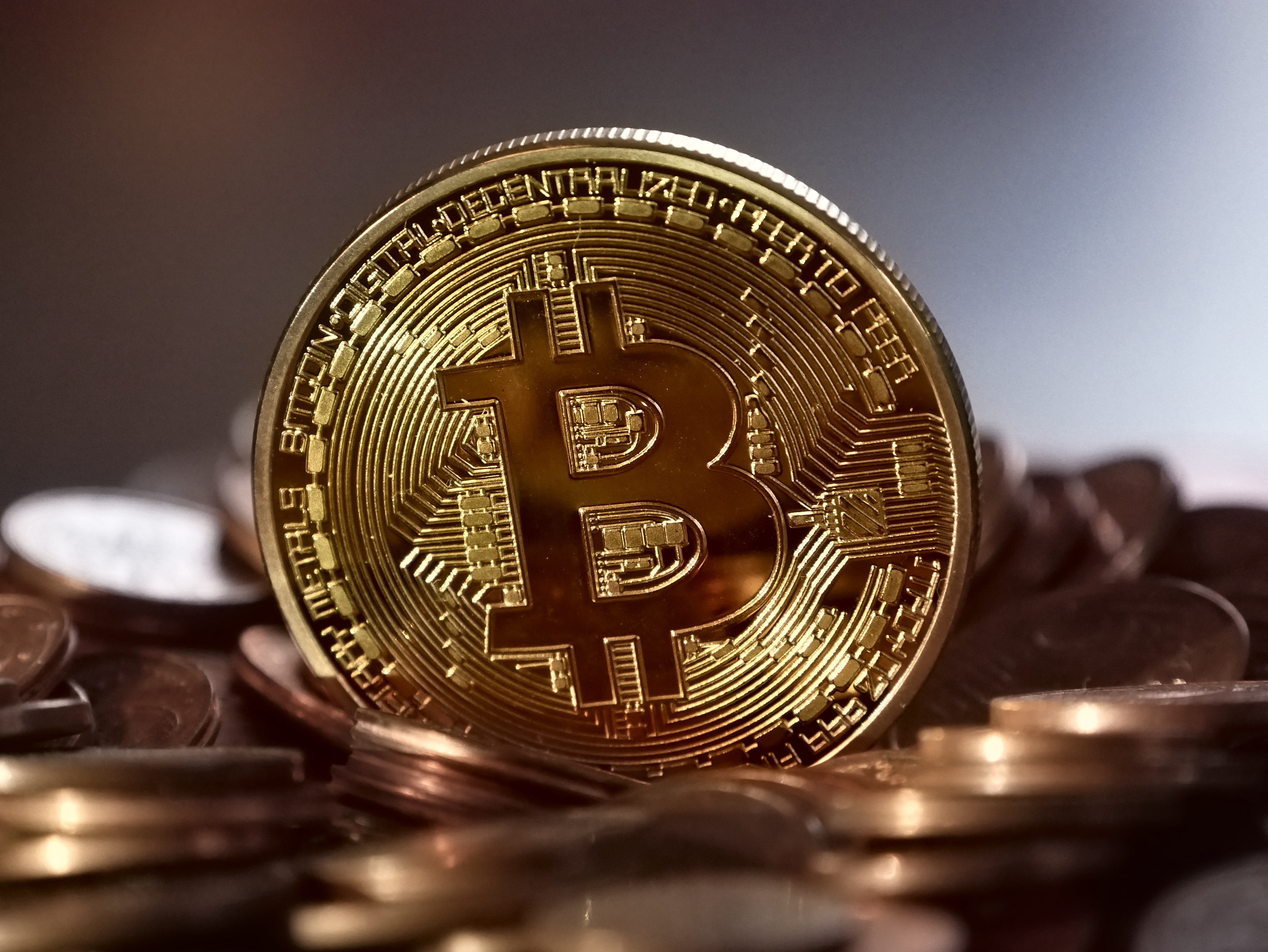 Download Cryptocurrency Money Coin Technology Bitcoin 4k Ultra HD Wallpaper