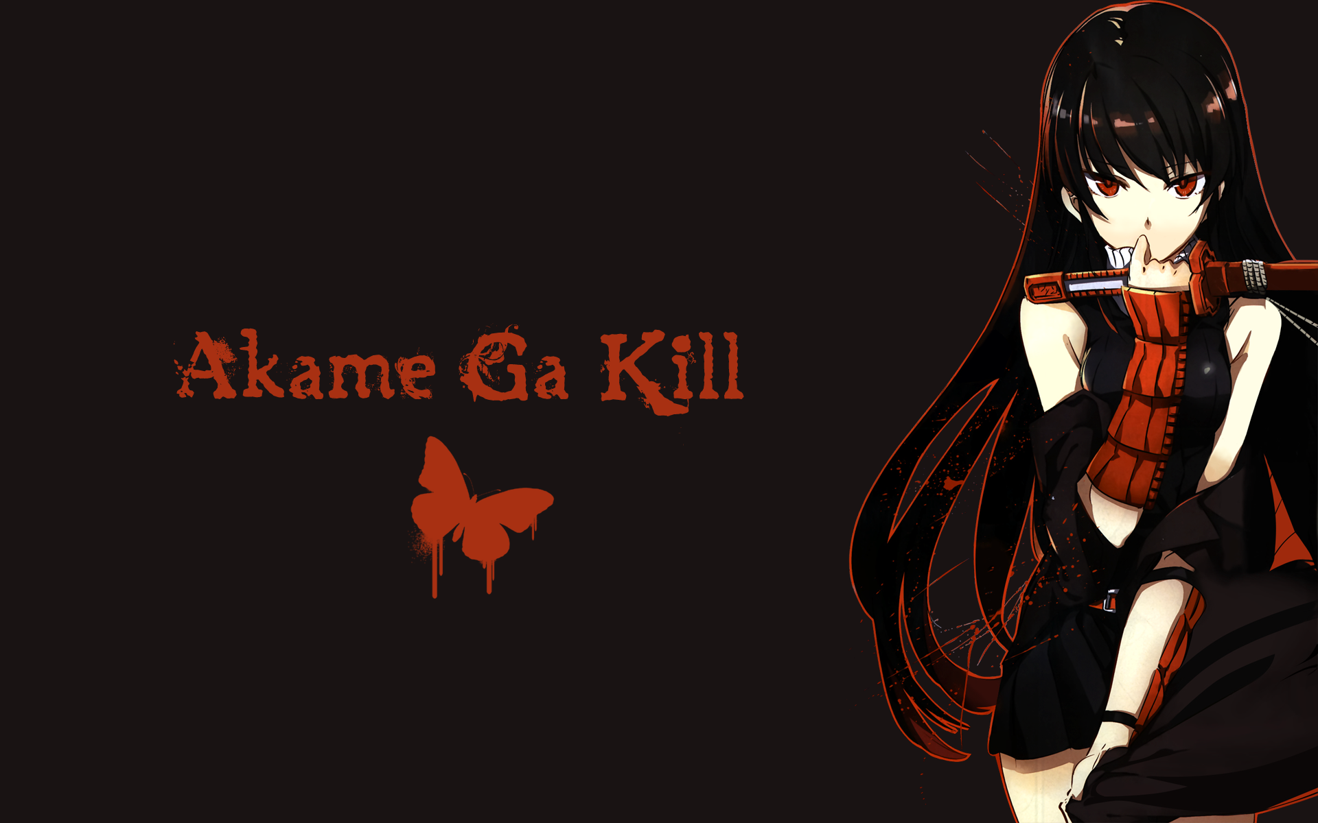 Akame Ga Kill Hd Wallpaper Background Image 1920x1200 Id