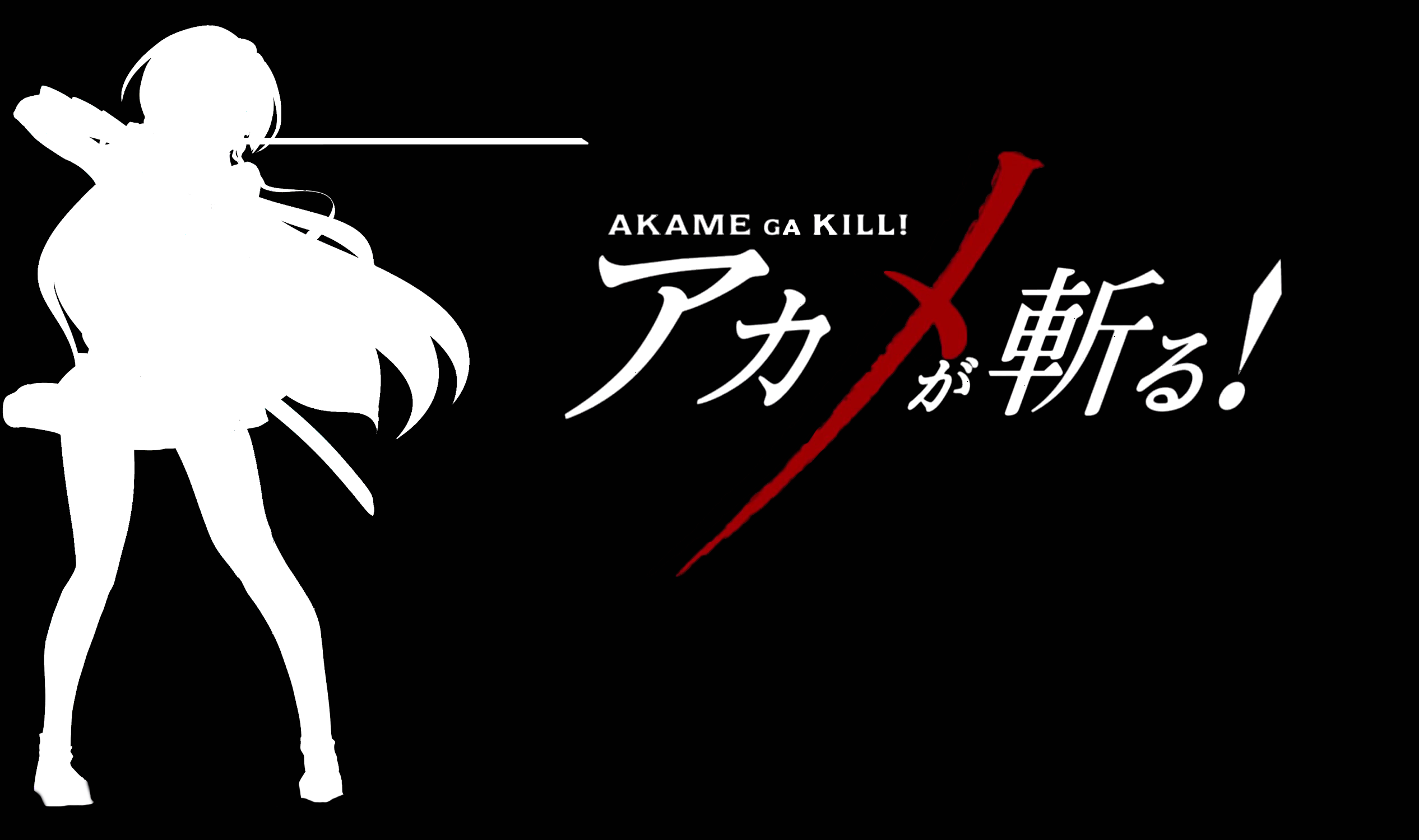 Akame Ga Kill Hd Wallpaper Background Image 2532x1500