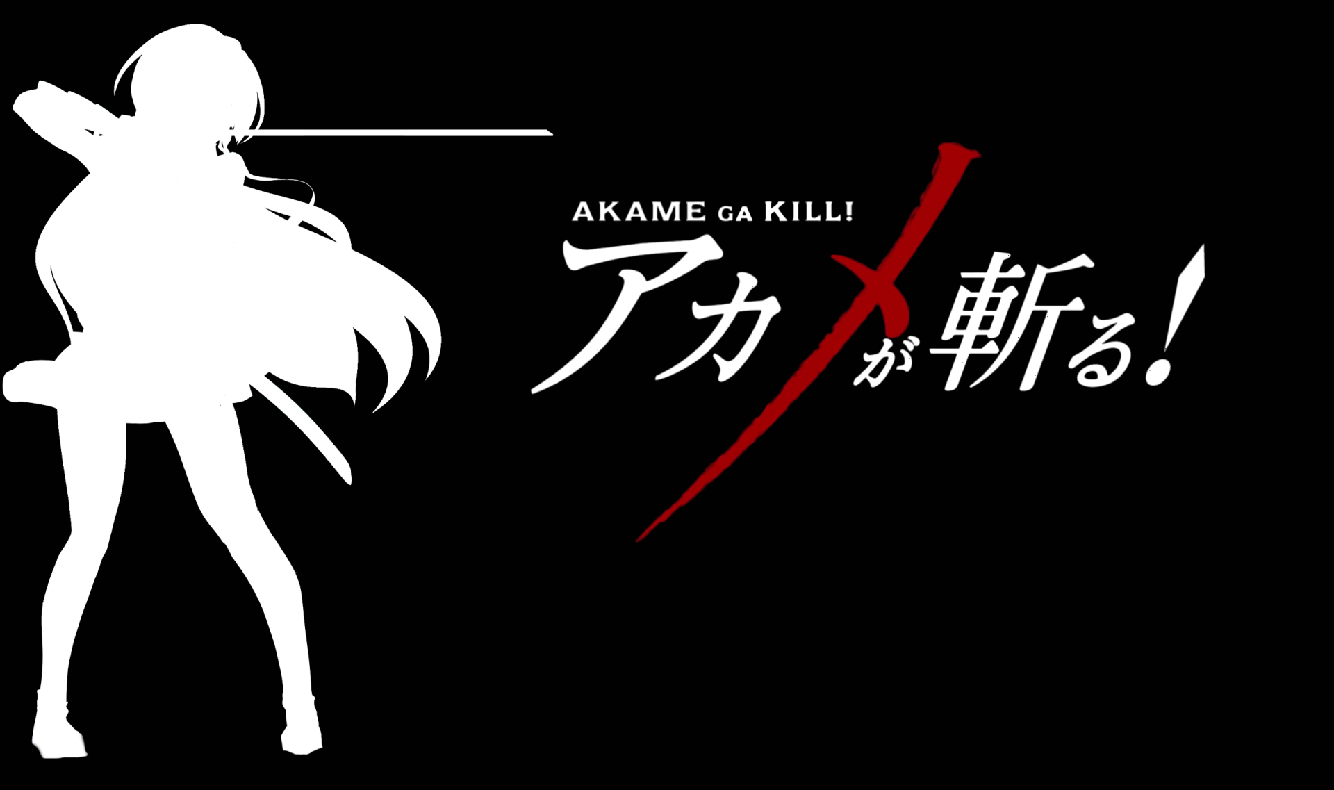 HD PC desktop wallpaper featuring a silhouette of an Akame ga Kill! character with the anime's title in bold Japanese and English text on a black background.