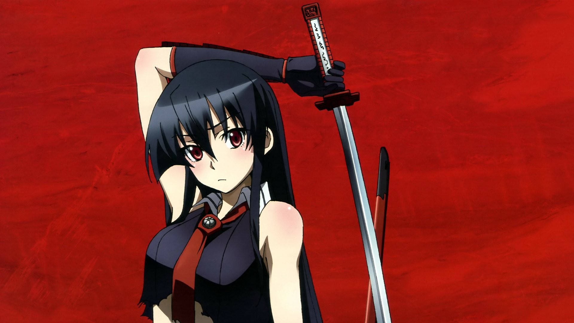 Download Akame (Akame Ga Kill!) Anime Akame Ga Kill! HD Wallpaper