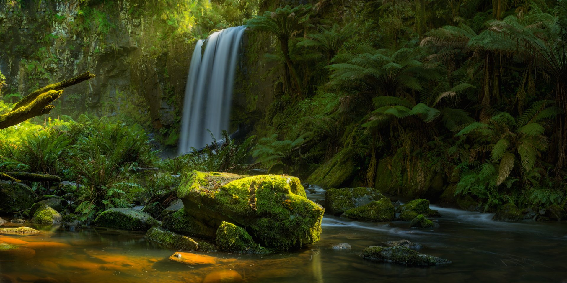 Lush rainforest in Victoria, Australia, featuring a serene waterfall surrounded by vibrant moss, ferns, and dense forest vegetation.