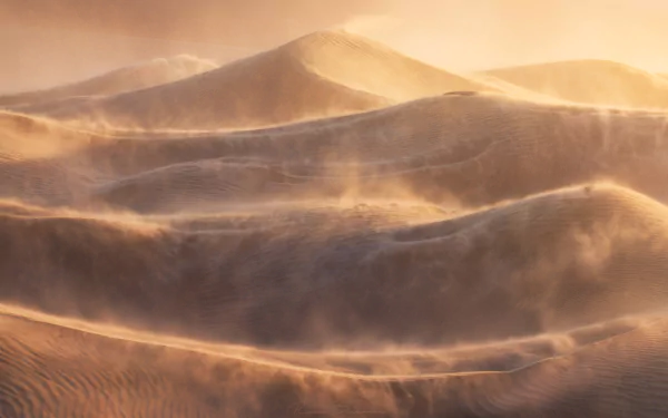 HD desktop wallpaper of sand dunes in a desert sandstorm at Death Valley, California, showcasing nature’s raw, shifting beauty.