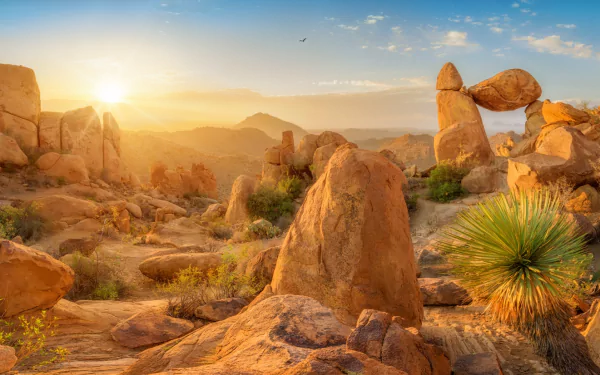 Sunlit Texas desert landscape with rugged rock formations, sparse vegetation, and a clear sky, captured in vibrant HD for a stunning nature desktop wallpaper.