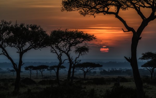 Nature Sunrise Africa Dawn Savannah Kenia Landscape HD Wallpaper | Background Image