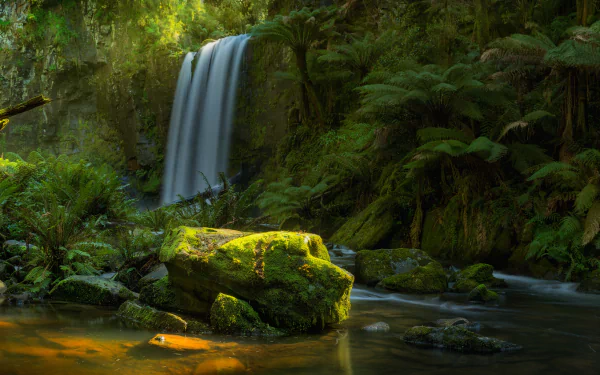 Lush rainforest in Victoria, Australia, featuring a serene waterfall surrounded by vibrant moss, ferns, and dense forest vegetation.