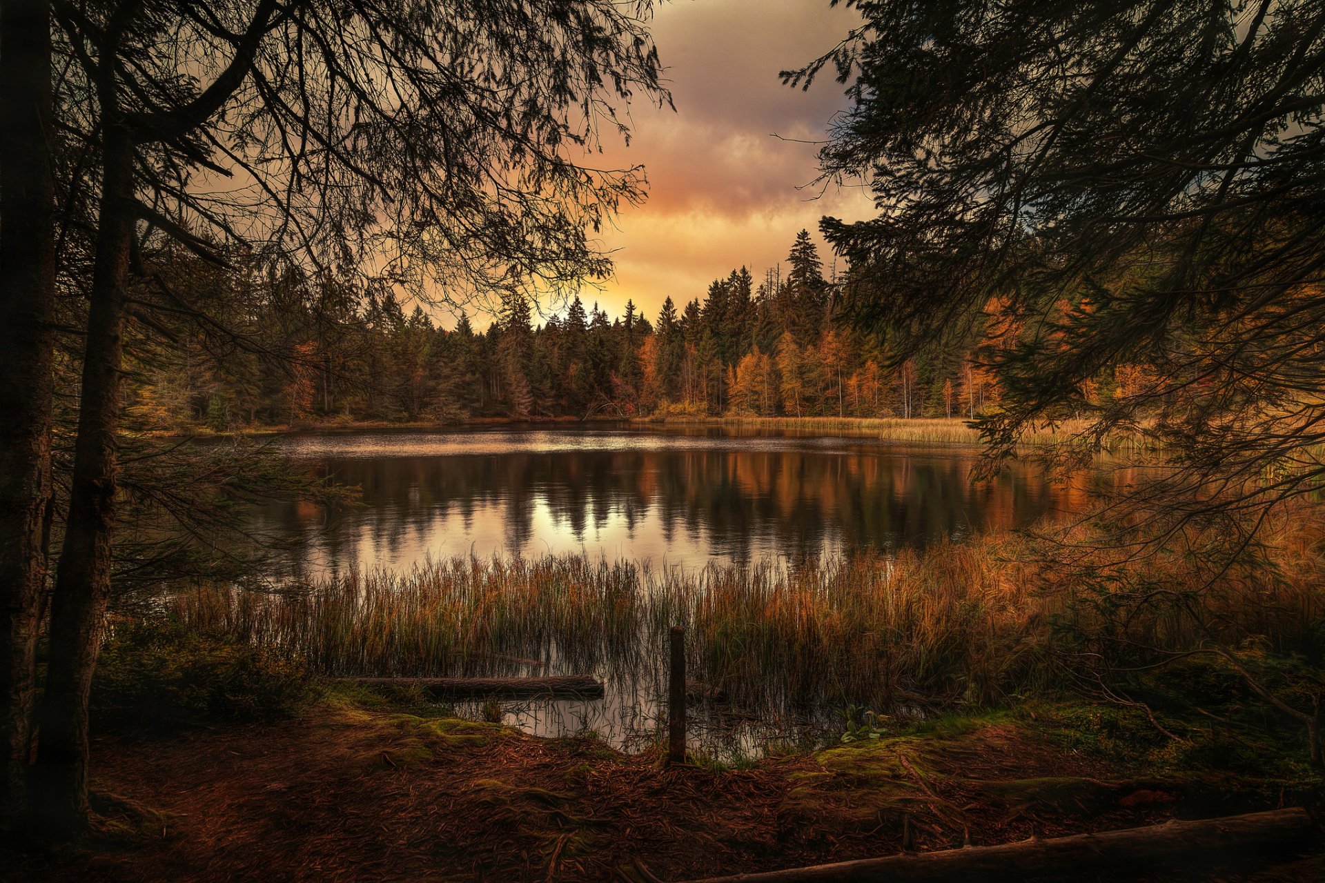HD wallpaper of a serene Swiss landscape featuring a calm lake surrounded by a forest in fall, with warm colors and natural beauty providing a tranquil setting.