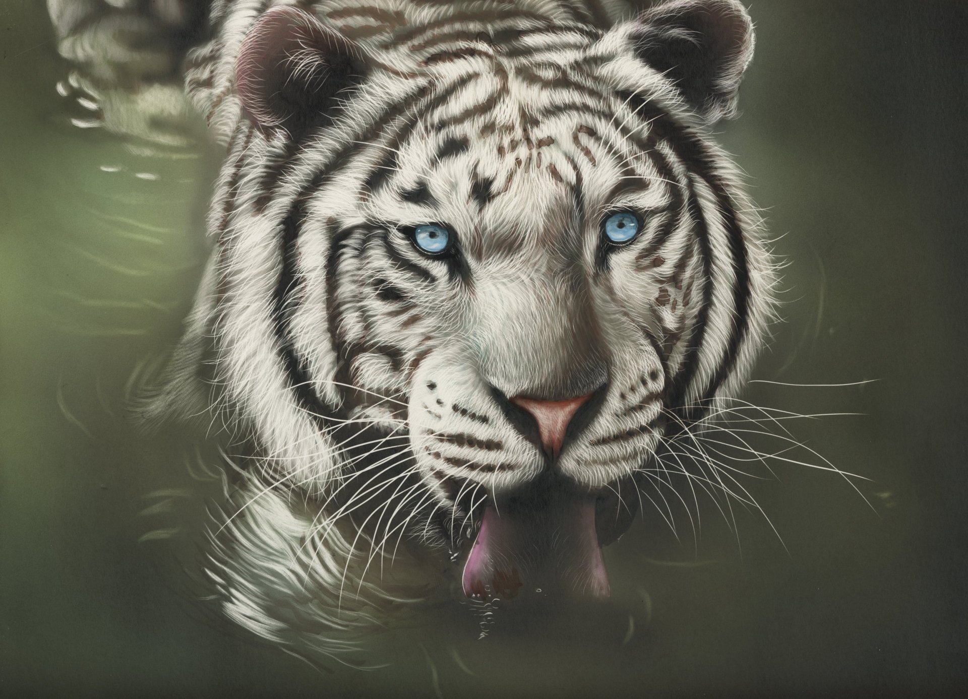 Close-up of a white tiger with striking blue eyes partially submerged in water, captured in HD quality for a desktop wallpaper background.