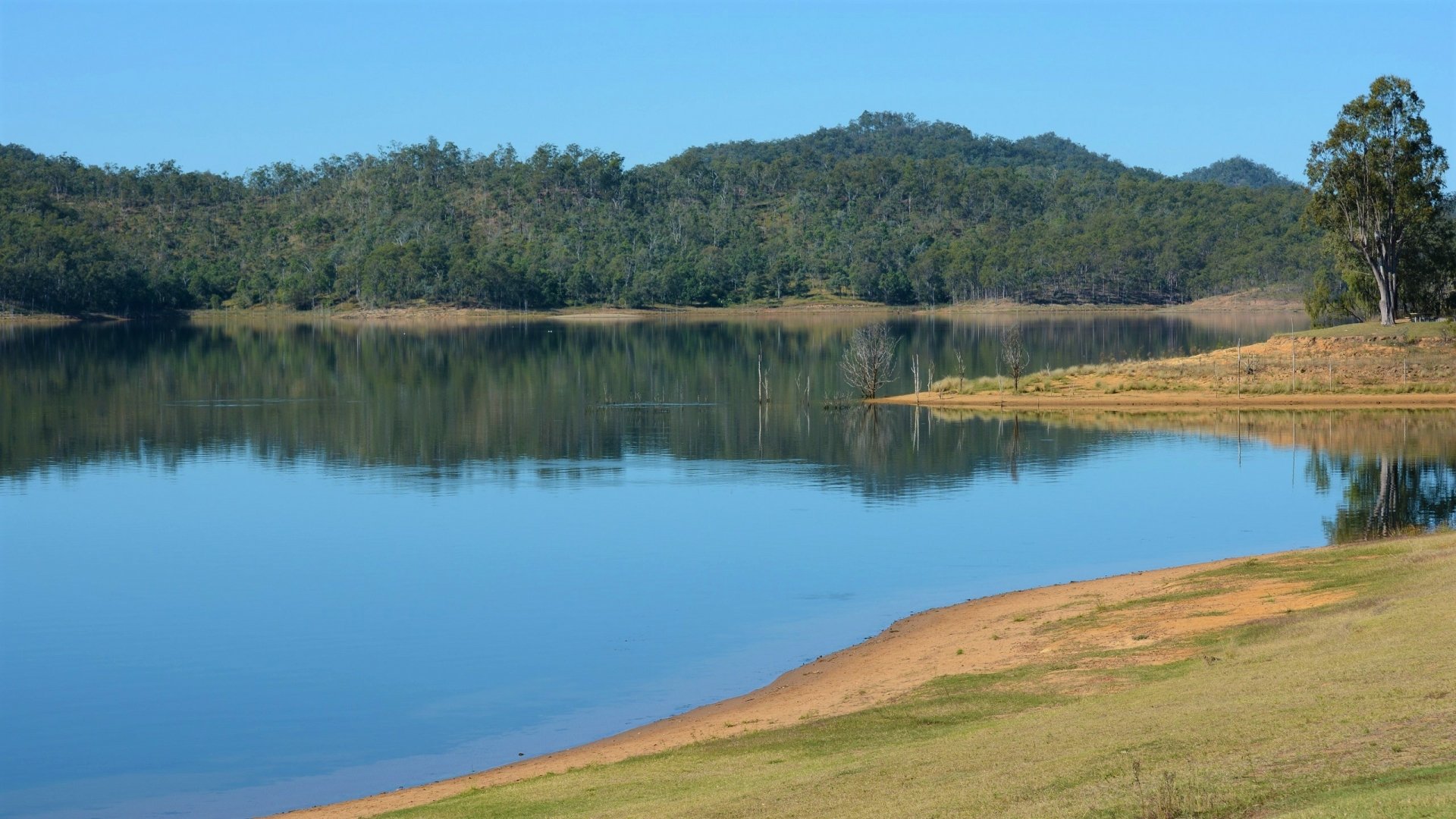 Cormorant Bay, Lake Wivenhoe Dam, Wivenhoe Pocket Queensland Australia