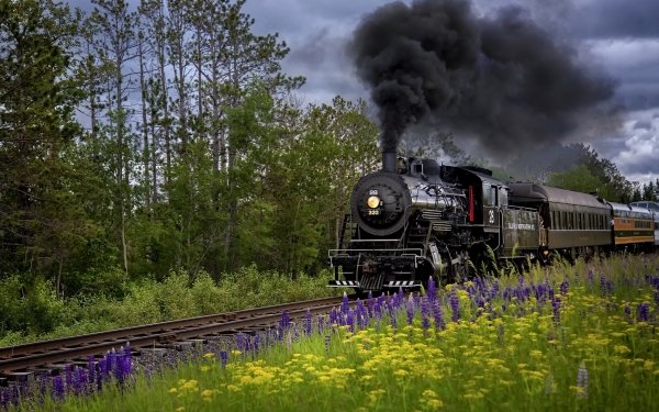 Vehicles Steam Train Train Locomotive Flower Smoke HD Wallpaper | Background Image