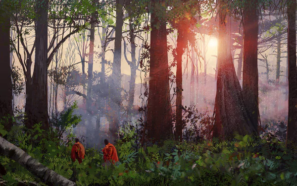 A misty jungle forest with tall trees bathed in warm sunshine, where two monks walk quietly through the fog, creating a serene and fantasy-like HD desktop wallpaper scene.