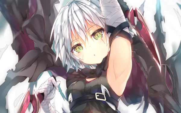 HD desktop wallpaper featuring Assassin of Black from Fate/Apocrypha anime, showcasing a detailed and vibrant character design with captivating green eyes and silver hair.