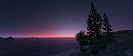 HD PC desktop wallpaper featuring a serene coastal sunset scene from the video game Grand Theft Auto V with trees silhouetted against the colorful sky.