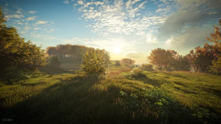 4K Ultra HD PC desktop wallpaper from theHunter: Call of The Wild — sunlit meadow with rolling grass, scattered trees and a bright morning sky.