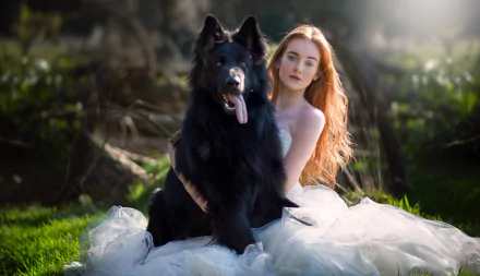 A redhead bride in a wedding dress sits outdoors in the sun, embracing a black Groenendael dog with a blurred natural background.