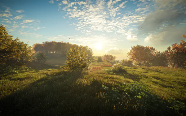4K Ultra HD PC desktop wallpaper from theHunter: Call of The Wild — sunlit meadow with rolling grass, scattered trees and a bright morning sky.