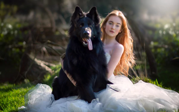 Groenendael depth of field wedding dress sunny dog redhead woman bride HD Desktop Wallpaper | Background Image