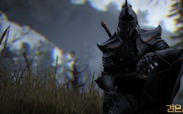 Video Game Black Desert Online Warrior HD Wallpaper | Background Image