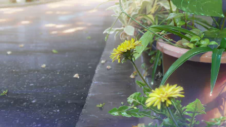 HD PC desktop wallpaper featuring anime-style close-up of yellow flowers near a potted plant, inspired by visuals from Your Name.