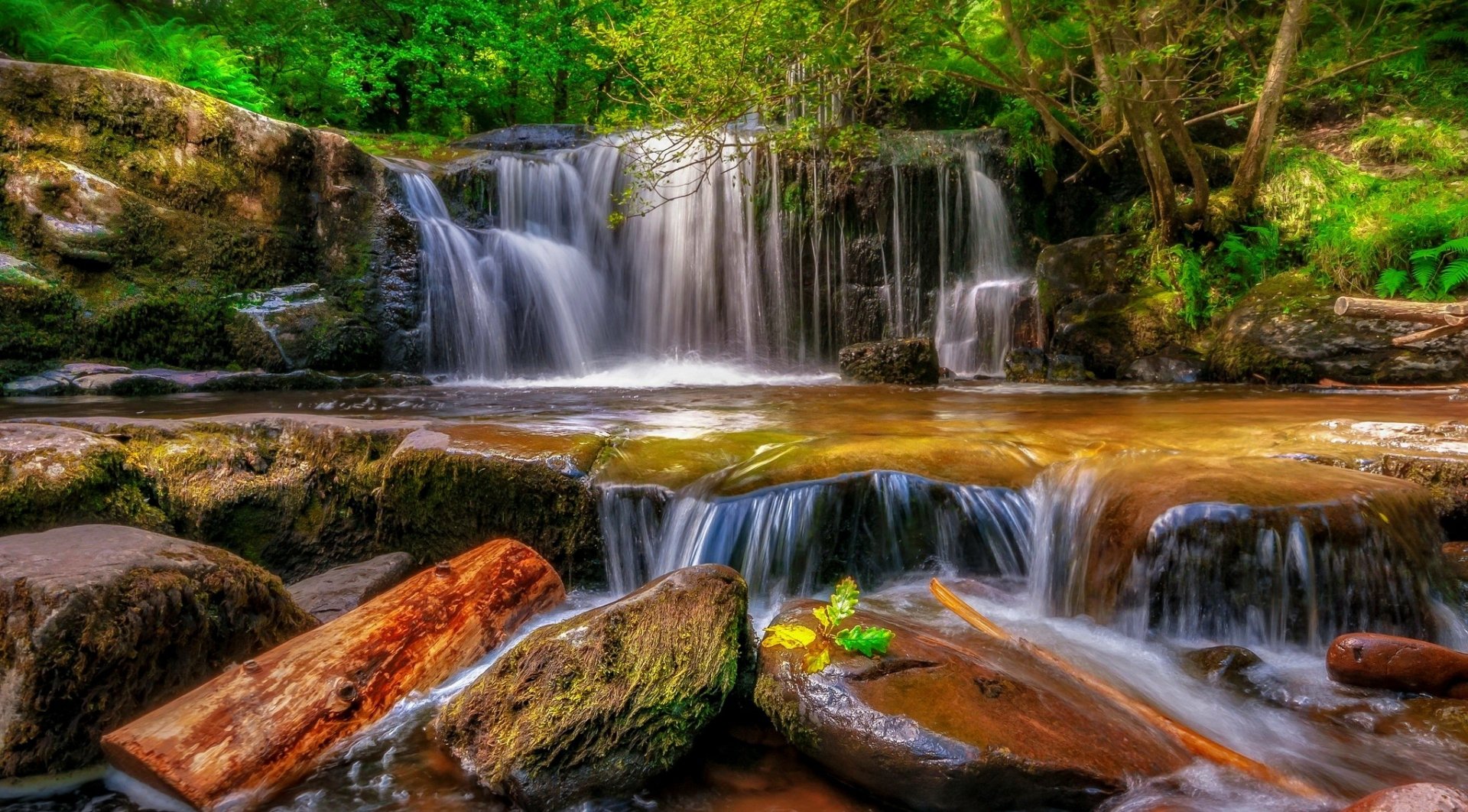 Forest Waterfall