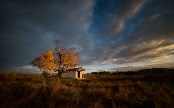 Tiny Chapel in Field