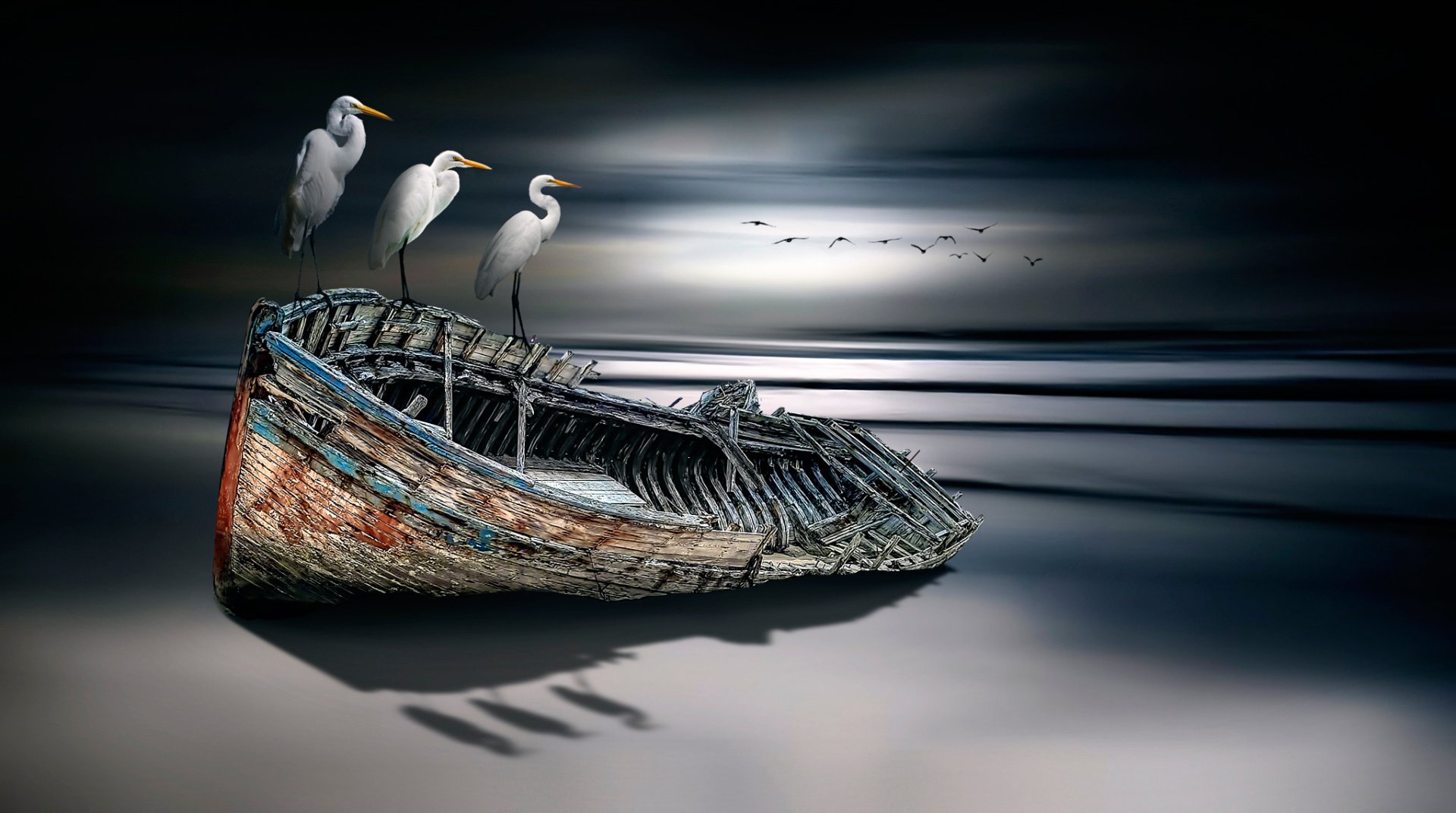 HD desktop wallpaper painting of a serene beach scene with an old boat and three egrets perched on its edge under a moody sky with distant birds flying.