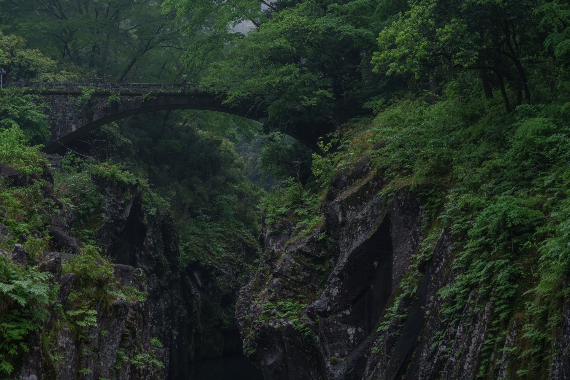 8K Ultra HD image of a man-made stone bridge spanning a lush green canyon, surrounded by dense natural foliage and rugged rock formations.
