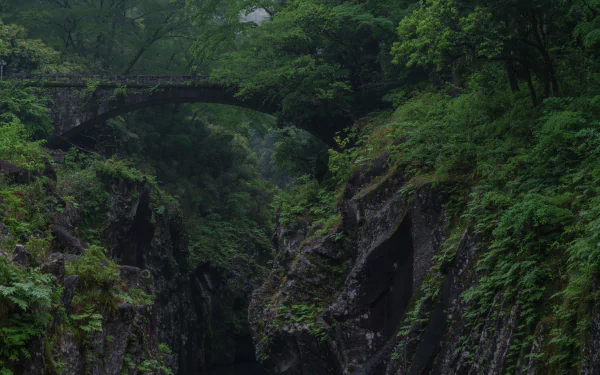 8K Ultra HD image of a man-made stone bridge spanning a lush green canyon, surrounded by dense natural foliage and rugged rock formations.