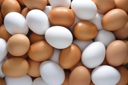 food egg HD Desktop Wallpaper | Background Image