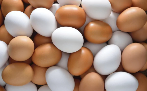 food egg HD Desktop Wallpaper | Background Image