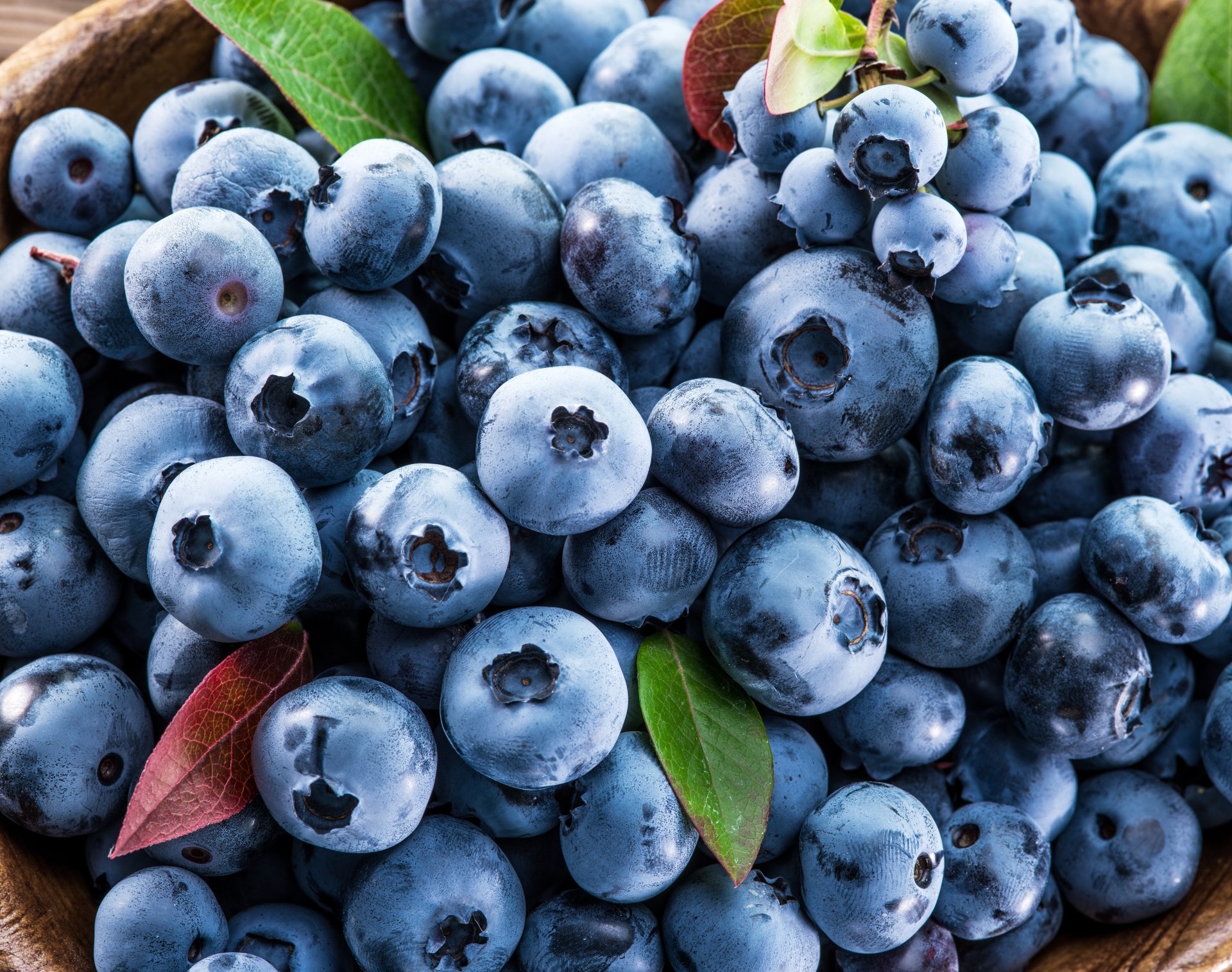 Blueberry 8k Ultra HD Wallpaper | Background Image | 7777x6133 | ID