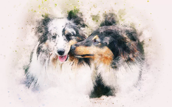 Watercolor painting of two Rough Collies kissing, presented as an HD desktop wallpaper background.