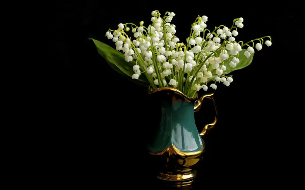  Lilies of the Valley