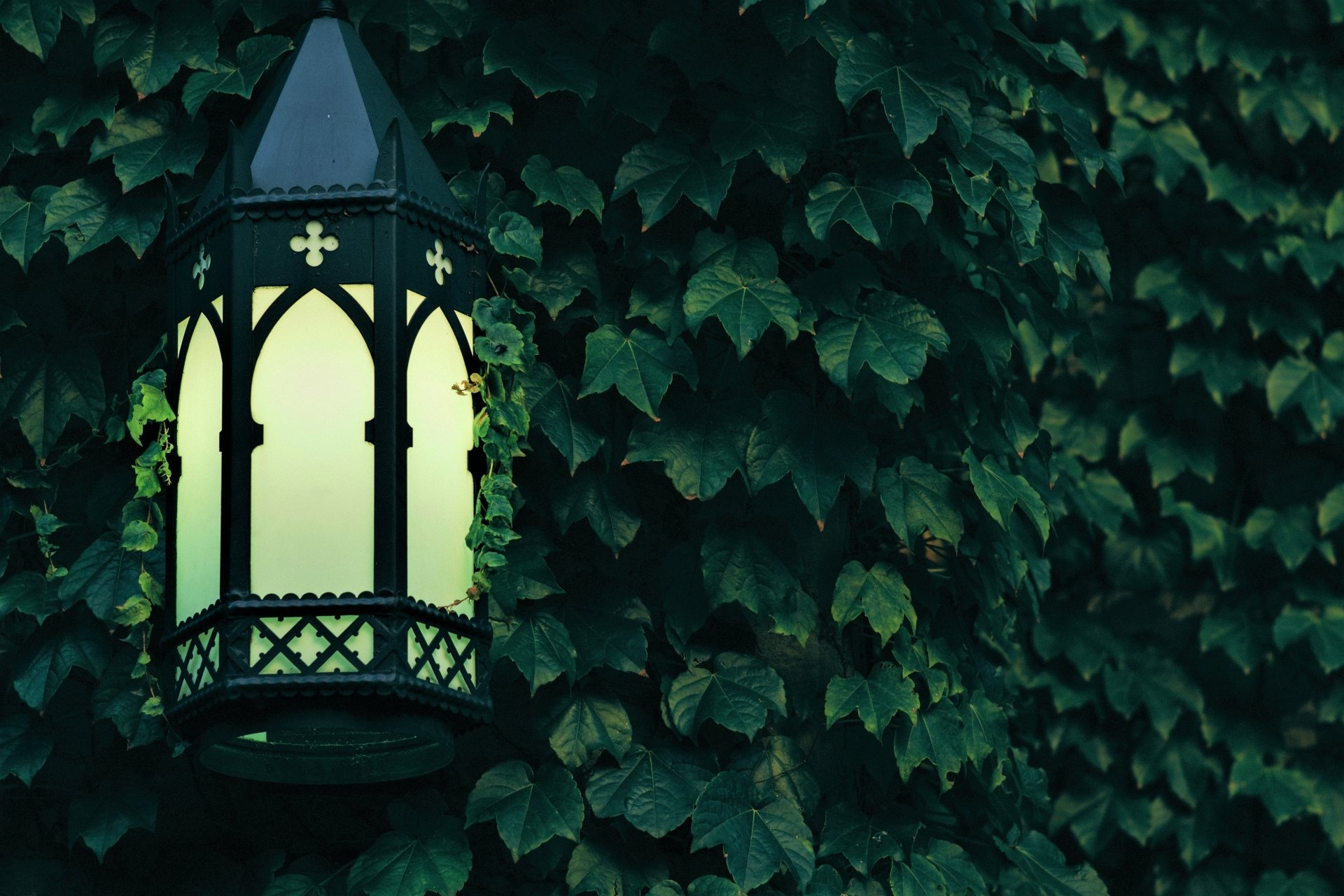 Download Green Ivy Leaf Light Man Made Lantern 4k Ultra HD Wallpaper