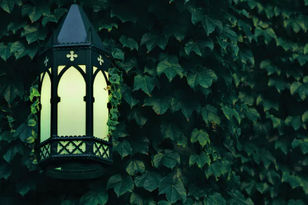  Lantern in Ivy
