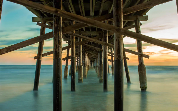  Under the Pier by Scott Trento