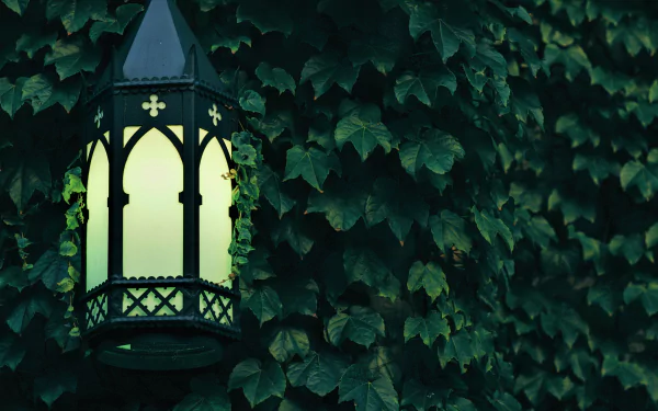  Lantern in Ivy