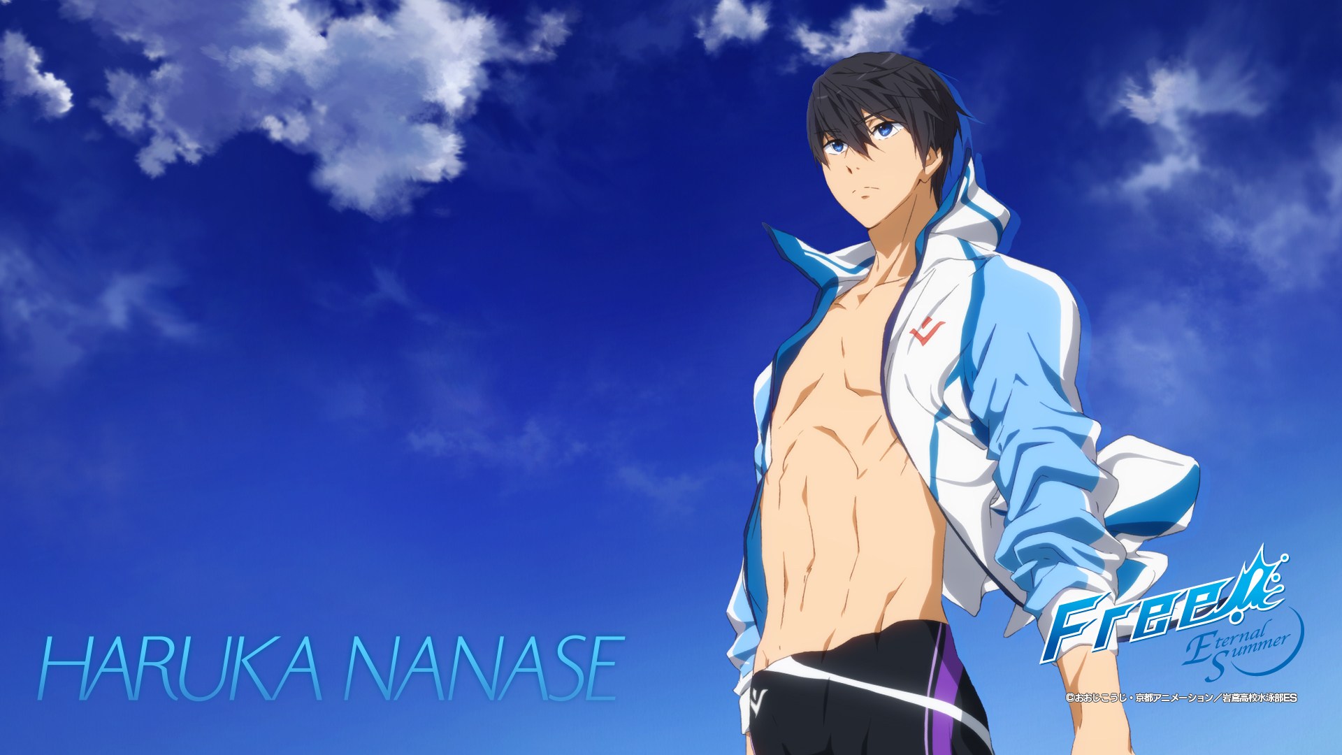 Anime Free! HD Wallpaper | Background Image