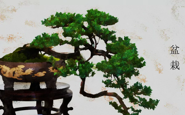  Artistic Bonsai Tree, with Bonsai in Japanese