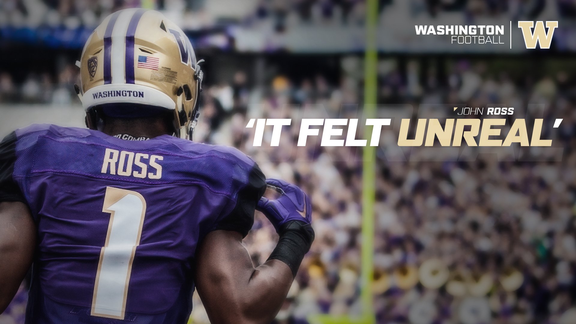 Washington Huskies HD Wallpaper | Background Image | 1920x1080 | ID:873902 - Wallpaper Abyss