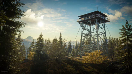4K Ultra HD PC wallpaper of nature from TheHunter (Video Game) — theHunter: Call of The Wild scene: sunlit conifer forest with a metal lookout tower beneath a bright blue sky.