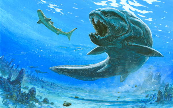 Fantasy Animal Fantasy Animals Fish Underwater Creature HD Wallpaper | Background Image