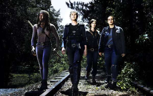 Alanna Masterson, Tara Chambler, Michonne (Danai Gurira), Maggie Greene (Lauren Cohan), and Carol Peletier (Melissa McBride) from The Walking Dead in a 4K Ultra HD wallpaper.