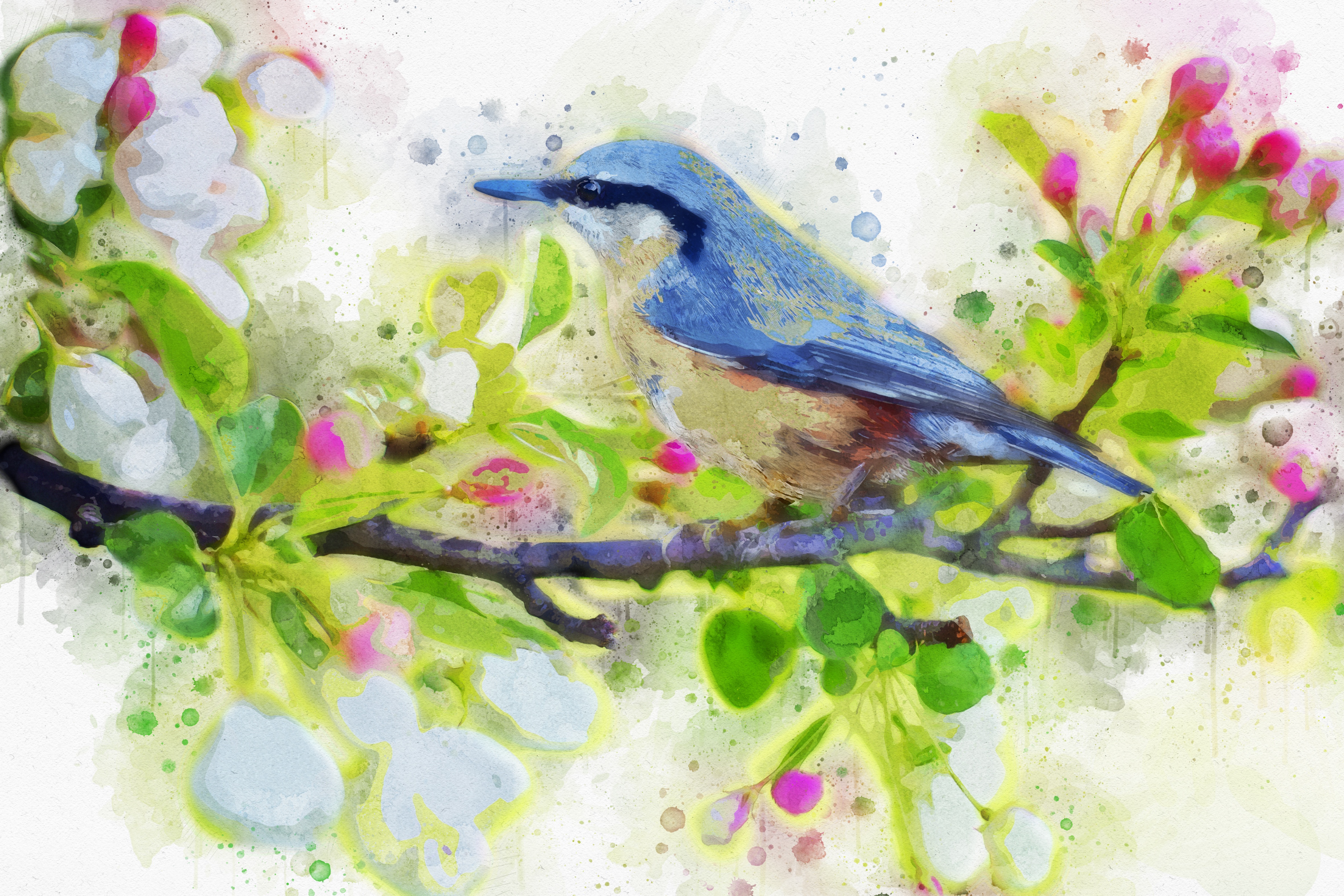Blue Bird on a Branch by Brigitte Werner