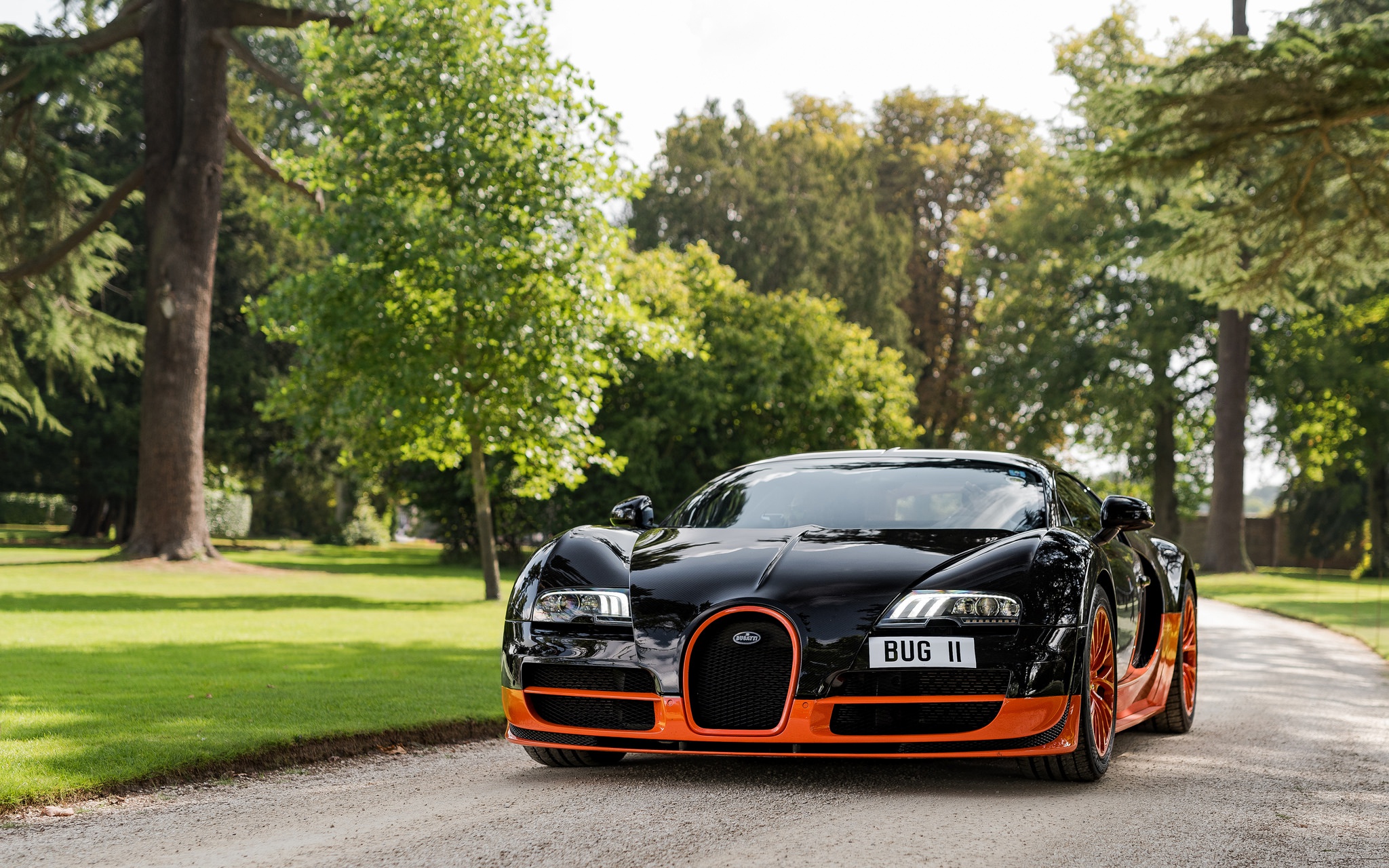 Bugatti Veyron in Black and Orange