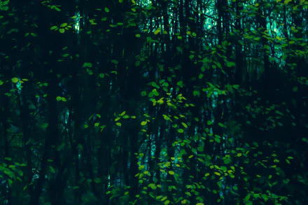 Green leafs twinkl